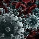 Coronavirus 2019-nCov novel coronavirus
