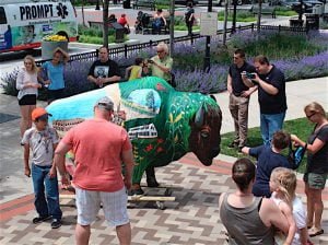 ARTISTIC CELEBRATION The Bison-tennial Public Art initiative features life-size fiberglass bison, decorated by local artists. Shown here are displays in Valparaiso and Portage.