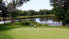 Eco-Friendly Golfing
