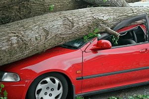 PROTECTION Auto insurance is a must for businesses that provide vehicles for employees.