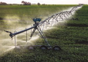 A Chester AG Systems irrigation system waters a corn field in Northwest Indiana