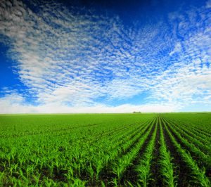 Indiana farming